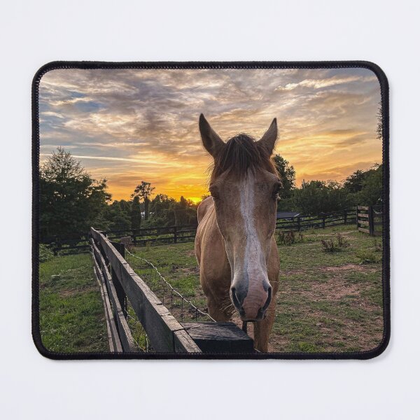 Item preview, Horse at Sunset designed and sold by Craig Kauzmann.
