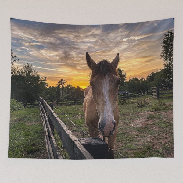 Item preview, Horse at Sunset designed and sold by Craig Kauzmann.