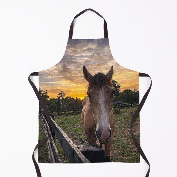 Aperçu de l'œuvre Horse at Sunset créée et vendue par Craig Kauzmann.