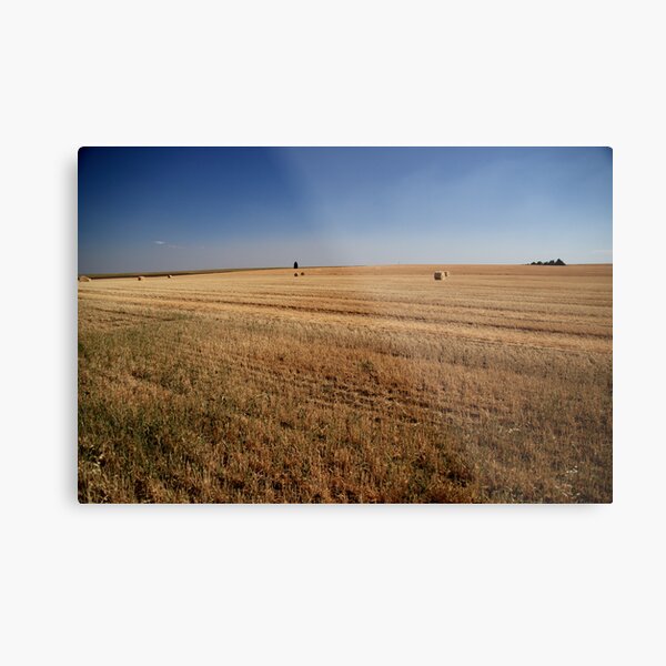 After the Harvest Metal Print