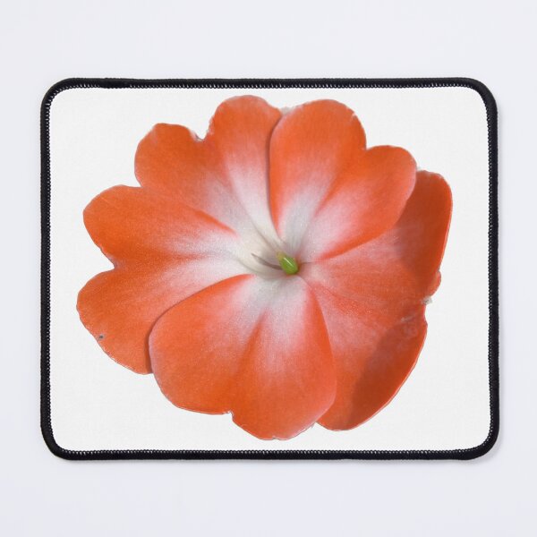 Item preview, Impatiens genus flower photography designed and sold by PeachesandPear.