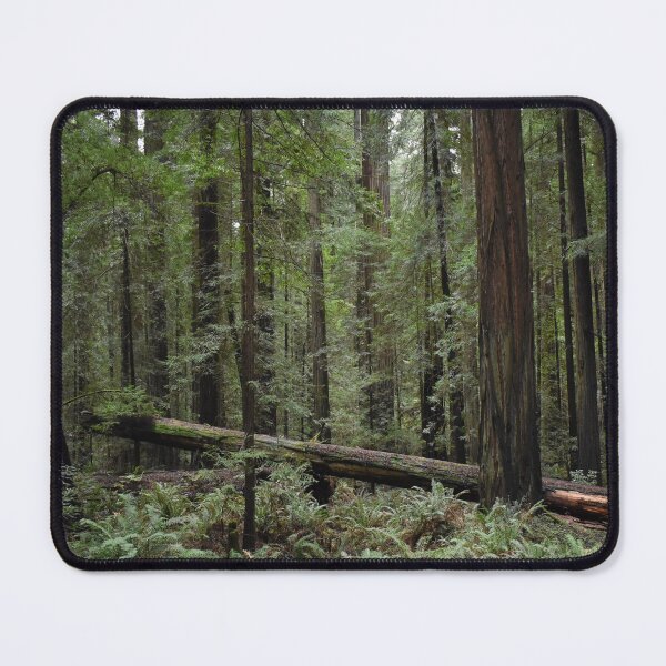 Item preview, California Redwoods designed and sold by Craig Kauzmann.