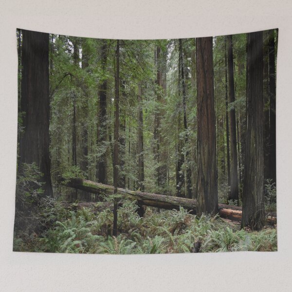Item preview, California Redwoods designed and sold by Craig Kauzmann.