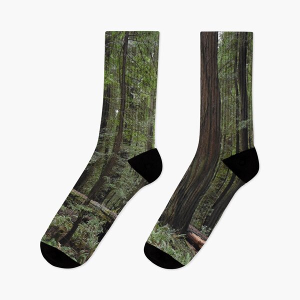 Item preview, California Redwoods designed and sold by Craig Kauzmann.