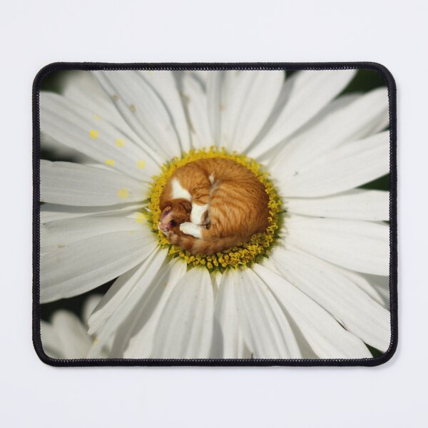 Item preview, A Cat Nap on a Flower Bed designed and sold by FelisObscura.