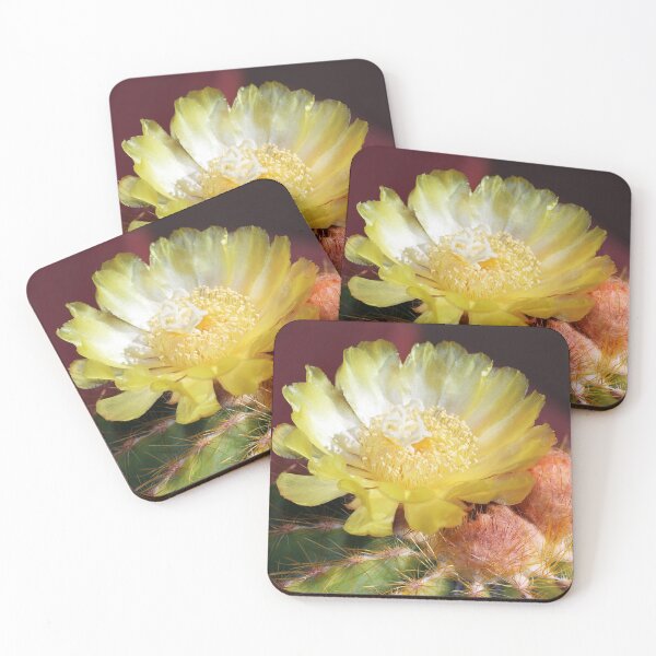 Item preview, Golden Cactus in Bloom designed and sold by Siene Browne.