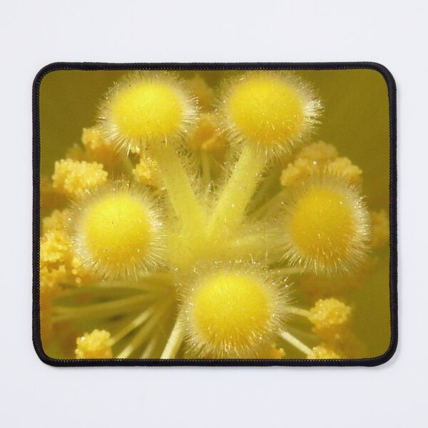 Item preview, Hibiscus Pistil 3 designed and sold by SeeGodAroundUs.