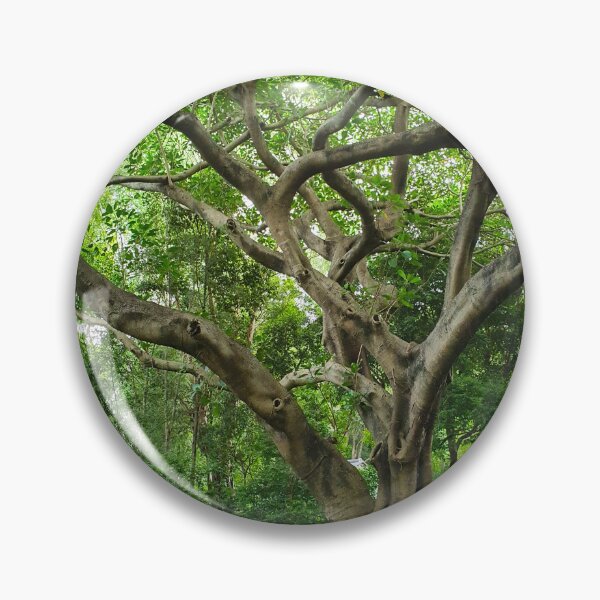 Item preview, Mount Coot-tha Botanic Gardens designed and sold by OCNau.