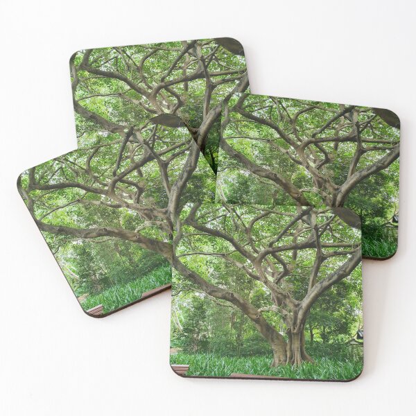 Item preview, Mount Coot-tha Botanic Gardens designed and sold by OCNau.