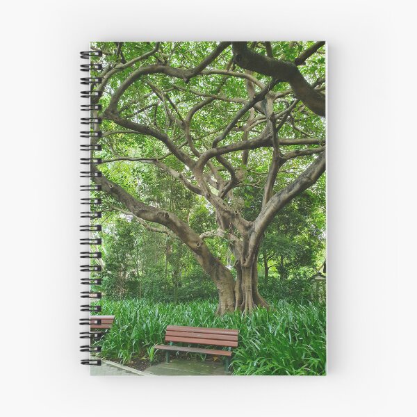 Item preview, Mount Coot-tha Botanic Gardens designed and sold by OCNau.