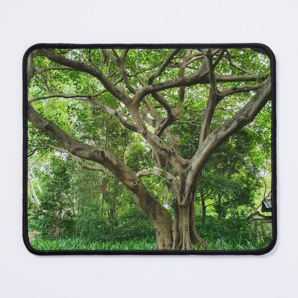 Item preview, Mount Coot-tha Botanic Gardens designed and sold by OCNau.