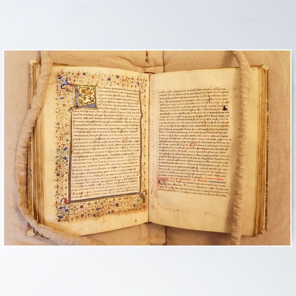 Item preview, A French Medieval Manuscript designed and sold by Serina Patterson.