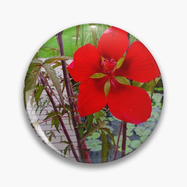 Item preview, Mount Coot-tha Botanic Gardens designed and sold by OCNau.