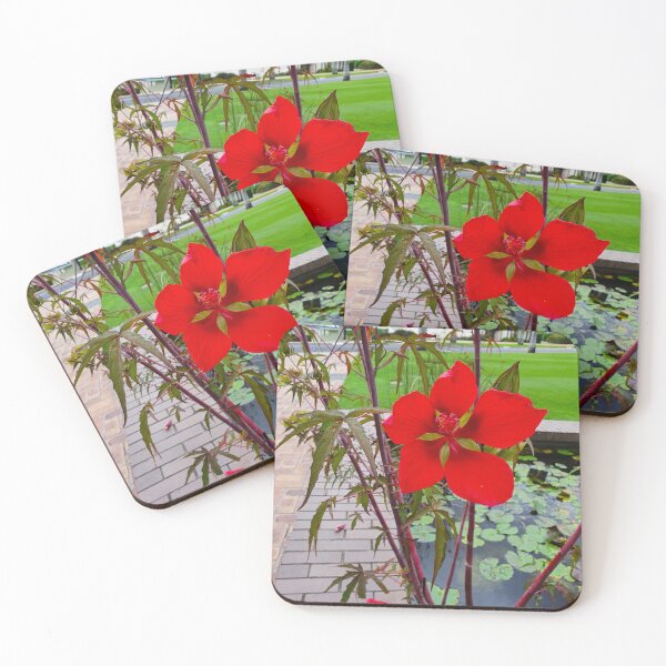 Item preview, Mount Coot-tha Botanic Gardens designed and sold by OCNau.
