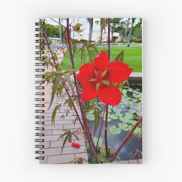 Item preview, Mount Coot-tha Botanic Gardens designed and sold by OCNau.