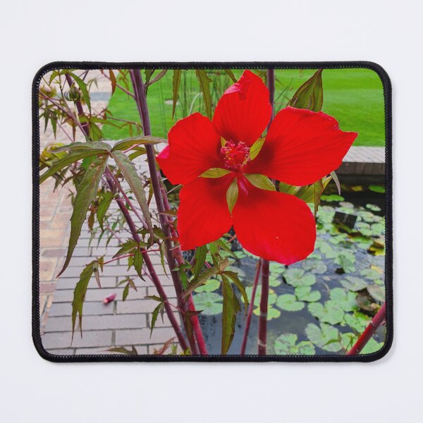 Item preview, Mount Coot-tha Botanic Gardens designed and sold by OCNau.