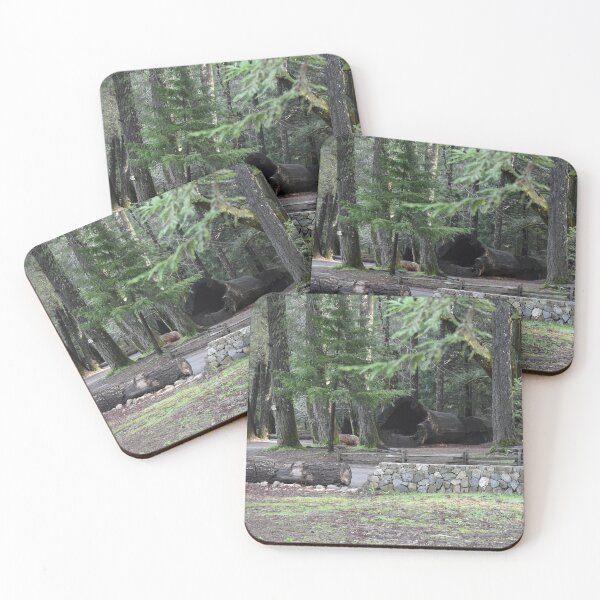 Item preview, Fallen Coast Redwood designed and sold by Craig Kauzmann.