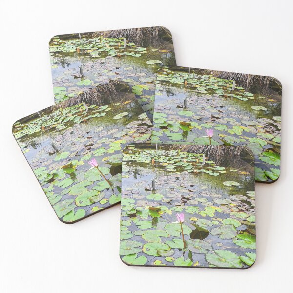 Item preview, Mount Coot-tha Botanic Gardens designed and sold by OCNau.