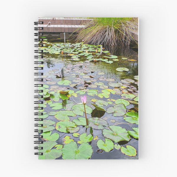 Item preview, Mount Coot-tha Botanic Gardens designed and sold by OCNau.
