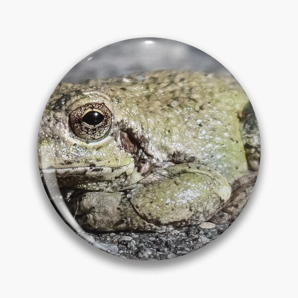 Item preview, Frog on the Bike Path By Brandon Cable designed and sold by BrandonArtWorld.