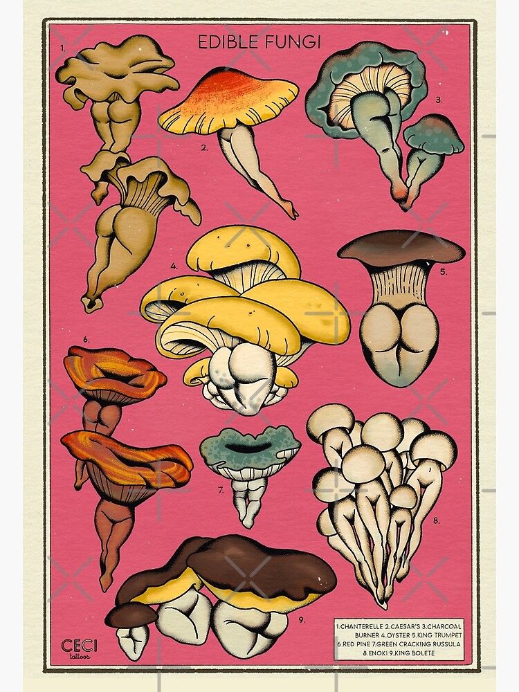 Vintage Edible Mushroom Chart Wrapping Paper