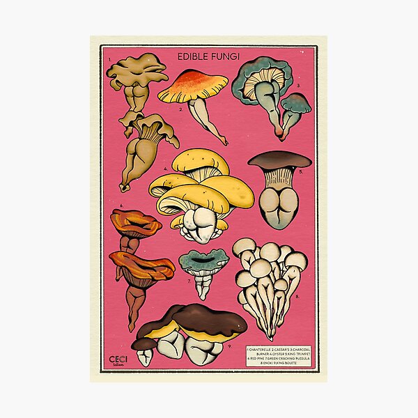 Vista previa del artículo con la obra «Tabla de hongos sexy comestibles», diseñado y vendido por Ceci Tattoos.