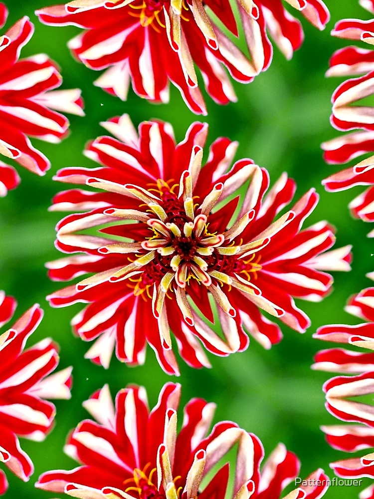 Thumbnail 3 of 3, Scarf, Unique Red Flower Pattern designed and sold by Patternflower.