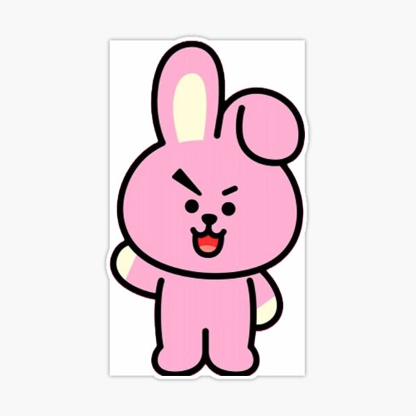 BT21 Cooky BTS Kpop merch