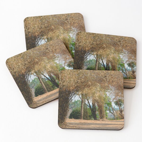 Item preview, Laos - The 4000 islands designed and sold by franck380.