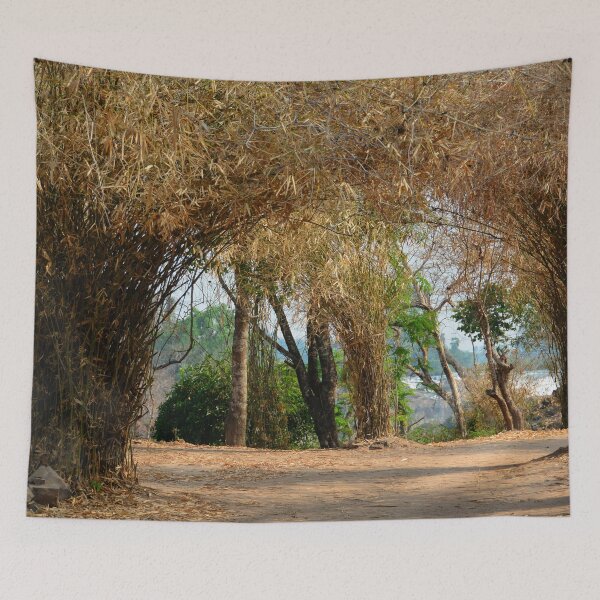 Item preview, Laos - The 4000 islands designed and sold by franck380.