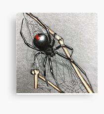 Black widow Canvas Print