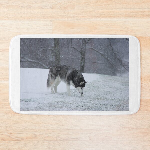 Item preview, Blue Eye Siberian Husky in the Snow with Trees in the background designed and sold by myhuskymax.
