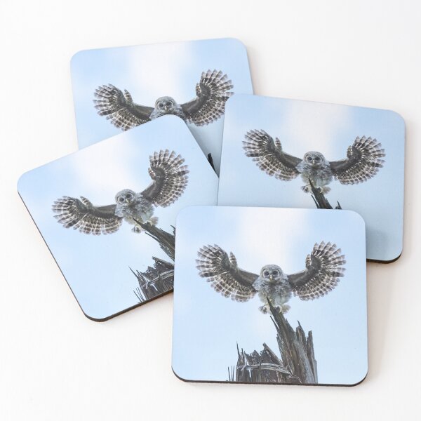 Item preview, I Believe I Can Fly designed and sold by Puttaswamy Ravishankar.