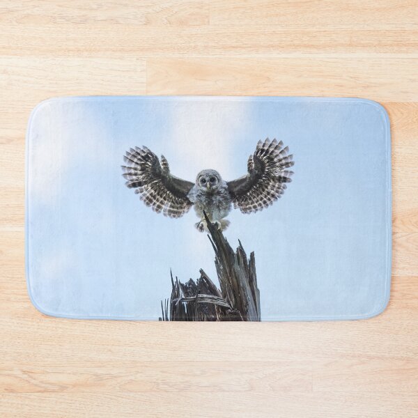 Item preview, I Believe I Can Fly designed and sold by Puttaswamy Ravishankar.