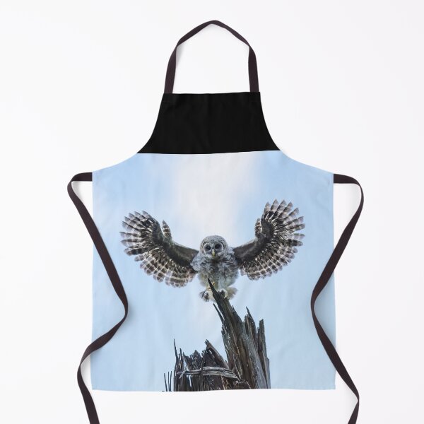 Item preview, I Believe I Can Fly designed and sold by Puttaswamy Ravishankar.