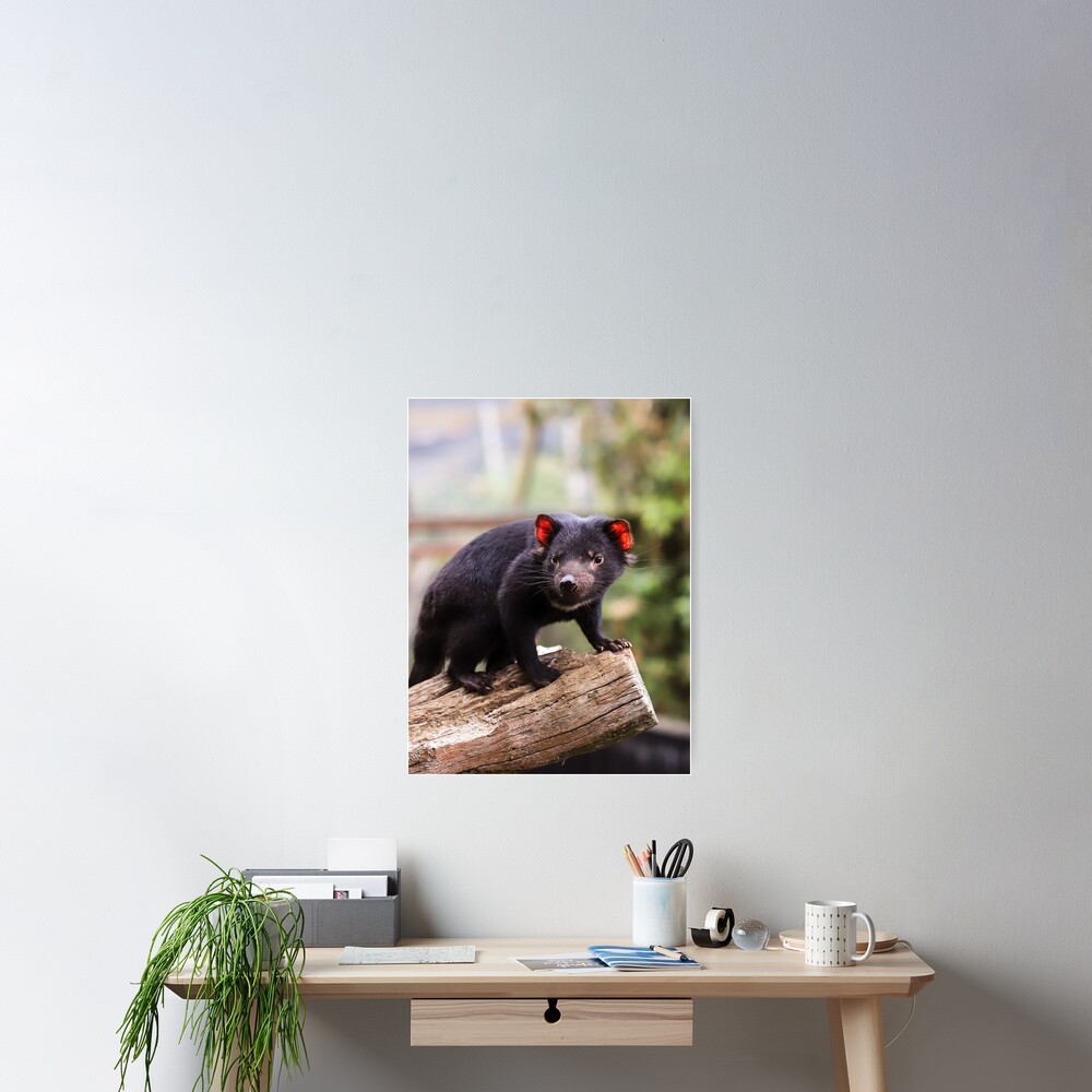 Item preview, Poster designed and sold by cosmicf0x.