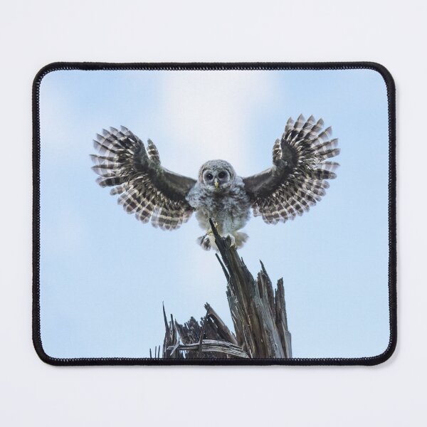 Item preview, I Believe I Can Fly designed and sold by Puttaswamy Ravishankar.