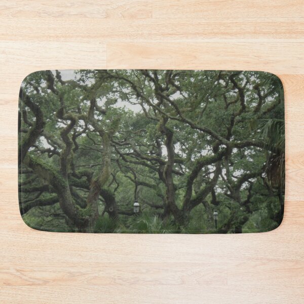 Item preview, Old Tree in St. Augustine designed and sold by Craig Kauzmann.