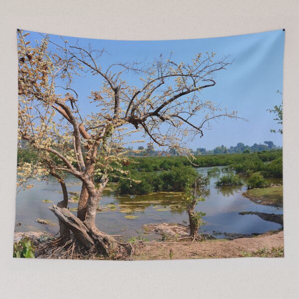 Item preview, Laos - The 4000 islands designed and sold by franck380.