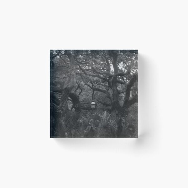 Item preview, Old Tree in Black and White designed and sold by Craig Kauzmann.