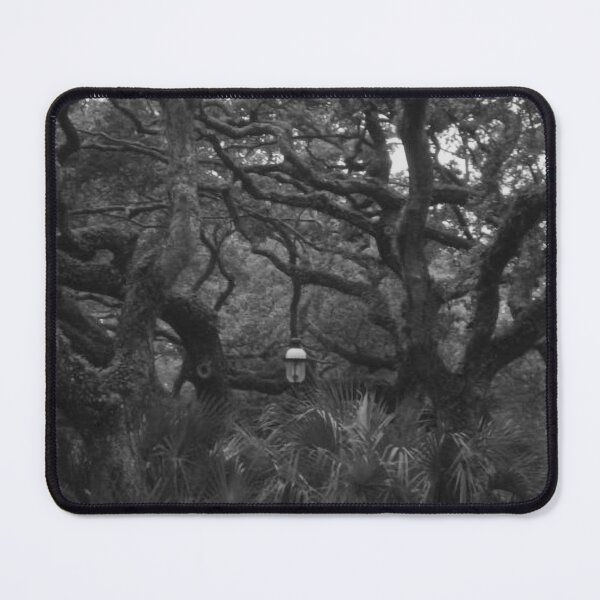 Item preview, Old Tree in Black and White designed and sold by Craig Kauzmann.
