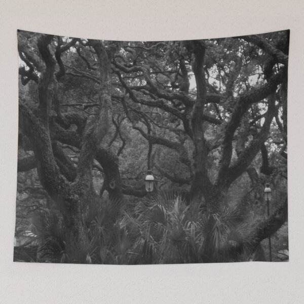Item preview, Old Tree in Black and White designed and sold by Craig Kauzmann.