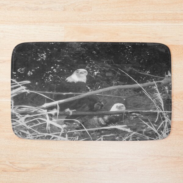 Item preview, Bald Eagles designed and sold by Craig Kauzmann.