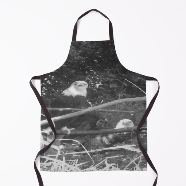 Item preview, Bald Eagles designed and sold by Craig Kauzmann.