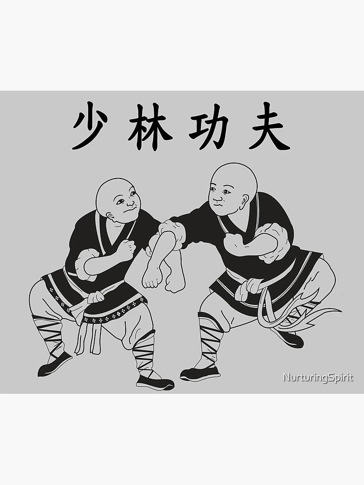 Cotton Blends Shaolin Monk Kung fu Socks Tai chi Martial arts