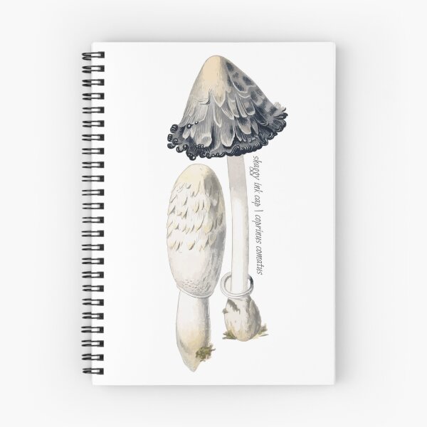 Item preview, Shaggy inkcap mushroom designed and sold by punchyflamingo.