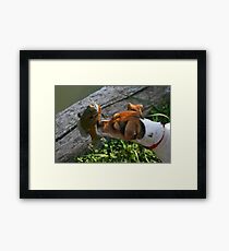 Something Fishie Framed Print