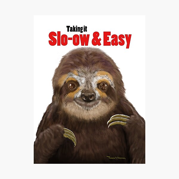 Slo-ow and Easy Sloth Photographic Print