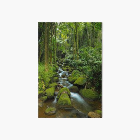 Artikel-Vorschau von Wasserfall - Tropischer botanischer Garten Hawaiis, designt und verkauft von Katelynn Hatala.