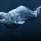 Bright Beluga by Myka Blacke
